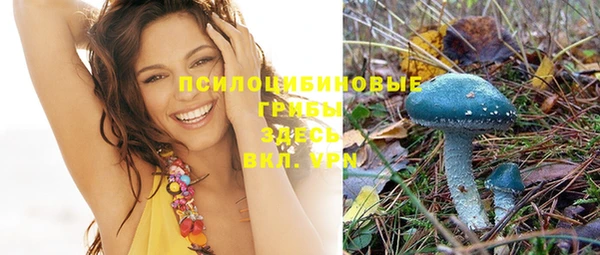 шишки Чита