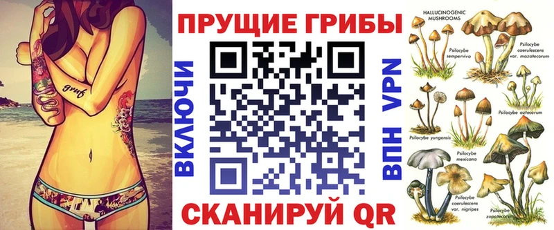 Галлюциногенные грибы Psilocybe Петропавловск-Камчатский
