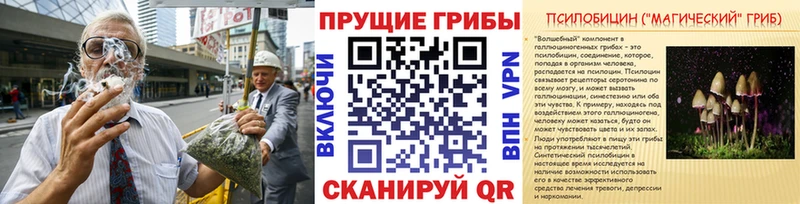 Псилоцибиновые грибы GOLDEN TEACHER  Петропавловск-Камчатский 