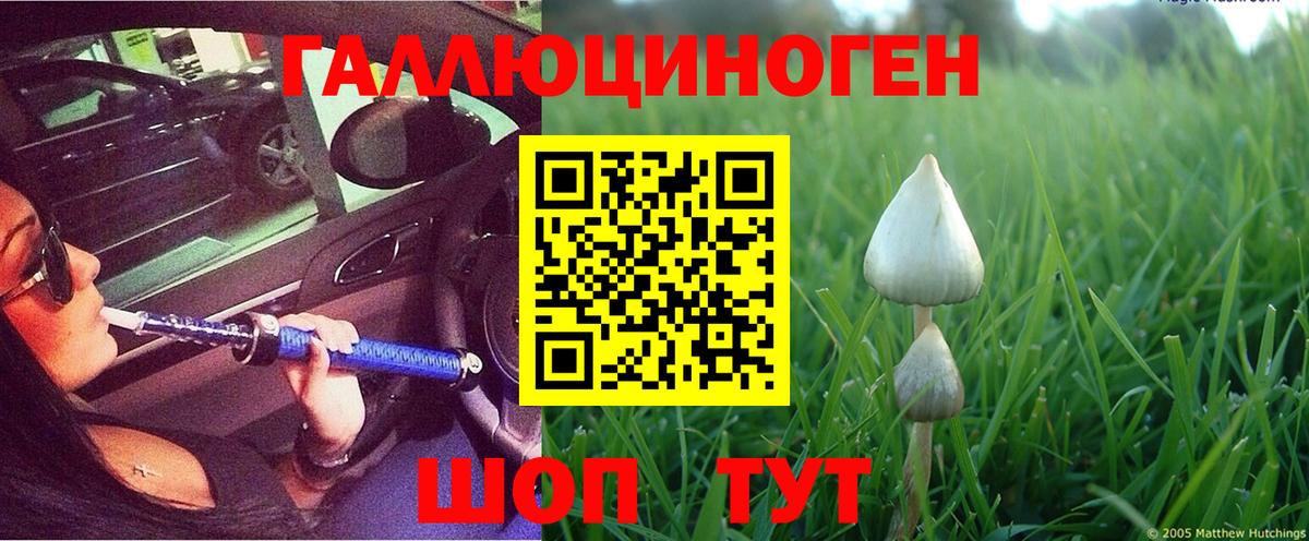 Псилоцибиновые грибы прущие грибы Петропавловск-Камчатский