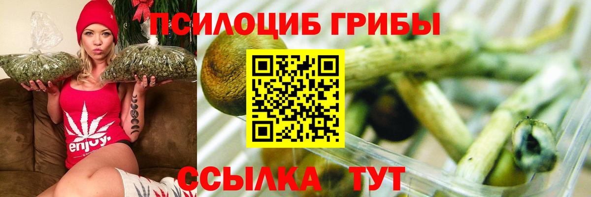 Как найти закладки?  Гашиш  Вход с VPN  Cocaine  НБОМе  Петропавловск-Камчатский  Мефедрон  