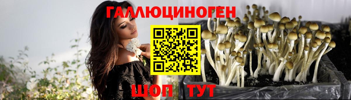 где можно купить наркотик  Вход с VPN  Петропавловск-Камчатский  Галлюциногенные грибы MAGIC MUSHROOMS  Псилоцибиновые грибы прущие грибы 